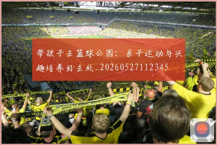 带孩子去篮球公园:亲子运动与兴趣培养好去处_20260527112345